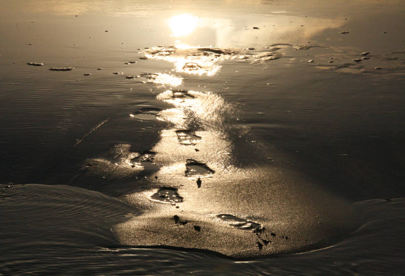 Urlaub am meer Callantsoog LekkerNaarZee